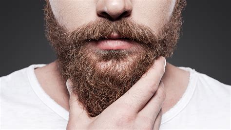 pogonophobia fear of beards